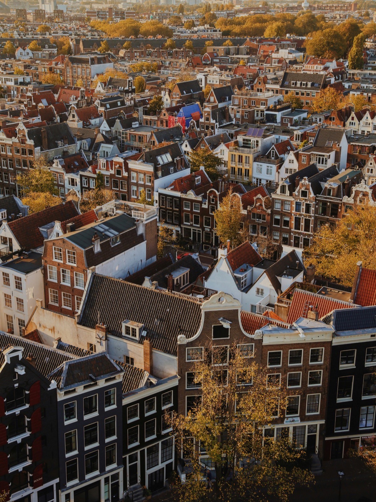 Atmospheric Amsterdam